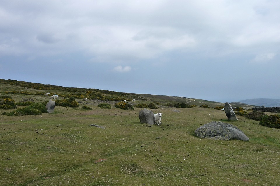 Hafodty Circle (Stone Circle) by thesweetcheat