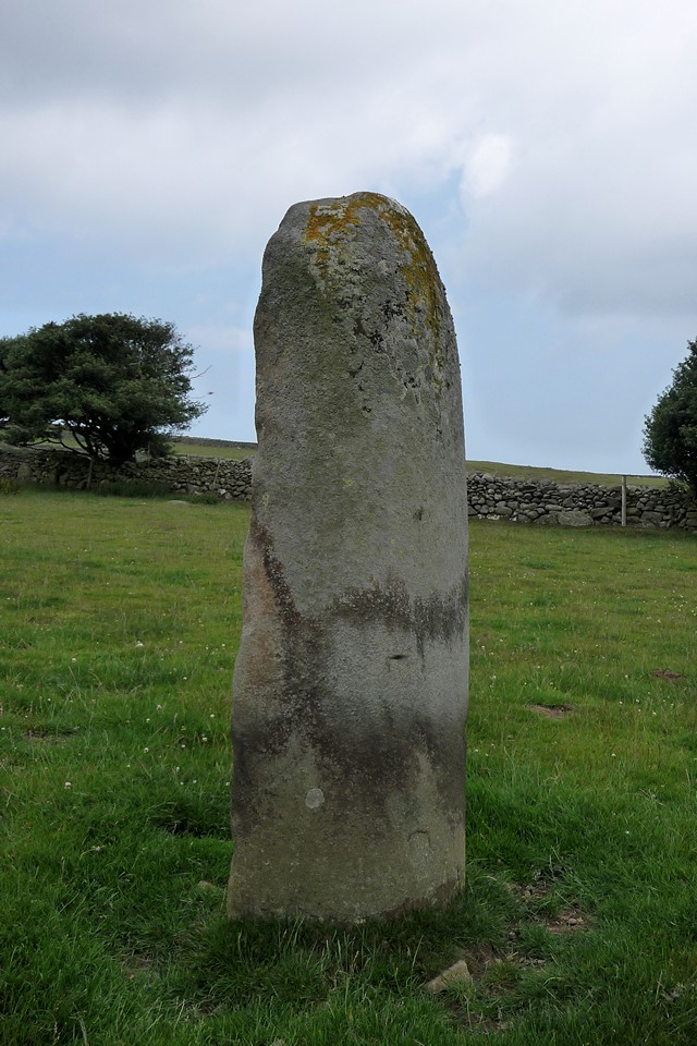 Hafodty (Standing Stone / Menhir) by thesweetcheat