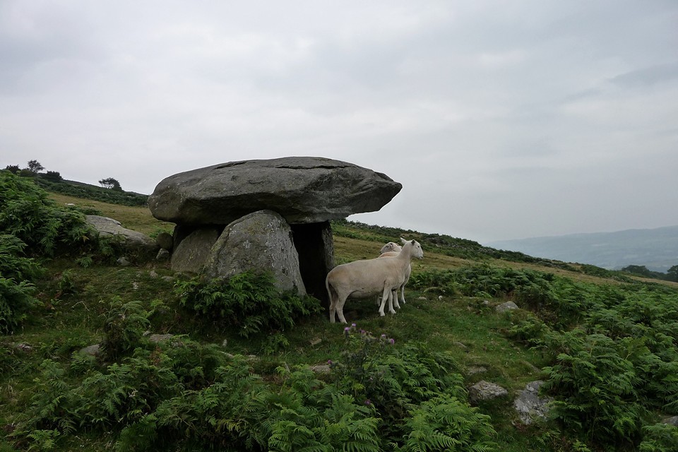 Maen-y-Bardd (Dolmen / Quoit / Cromlech) by thesweetcheat