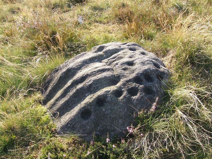 Middleton Moor (Cup and Ring Marks / Rock Art) by Chris Collyer