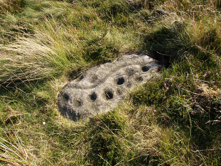 Middleton Moor (Cup and Ring Marks / Rock Art) by Chris Collyer