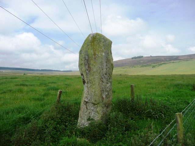 Auquhollie Stone (Standing Stone / Menhir) by drewbhoy