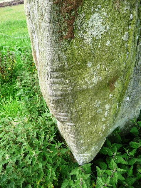 Auquhollie Stone (Standing Stone / Menhir) by drewbhoy