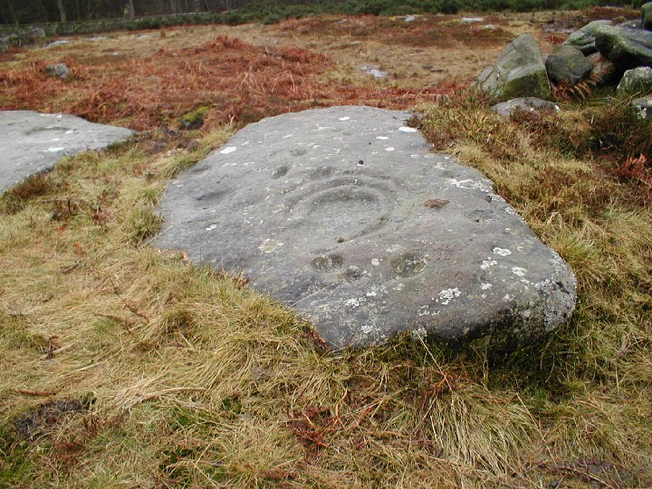 Weetwood Moor (Cup and Ring Marks / Rock Art) by pebblesfromheaven
