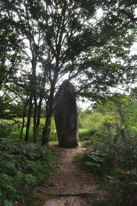 Ceinturat (Standing Stone / Menhir) by bogman