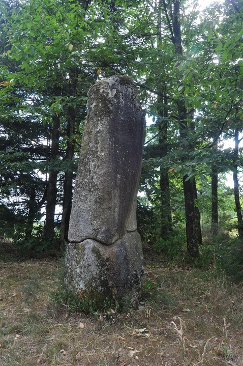 Menhir du Pic (Standing Stone / Menhir) by bogman