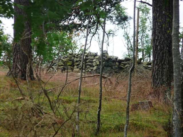 Cairn More (Birse) (Cairn(s)) by drewbhoy
