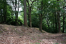 <b>Hascombe Hill</b>Posted by GLADMAN