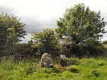 <b>Carriganine Stone Circle</b>Posted by bawn79