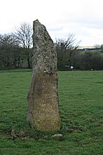 <b>Budloy Stone</b>Posted by postman