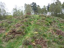 <b>Witch Hillock</b>Posted by drewbhoy