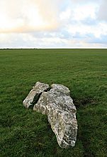 <b>The Nine Maidens</b>Posted by postman