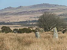 <b>Rhos Fach Standing Stones</b>Posted by ttTom