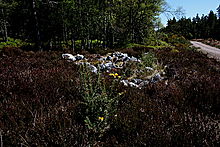 <b>Scotsburn Wood Cairn 3</b>Posted by GLADMAN