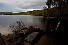 <b>Loch Achilty</b>Posted by GLADMAN