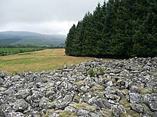 <b>The Grey Cairn</b>Posted by drewbhoy