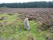 <b>Balnabroich standing stone</b>Posted by drewbhoy
