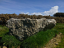 <b>Burry Standing Stones</b>Posted by thesweetcheat