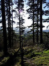 <b>Churchdown Hill</b>Posted by thesweetcheat