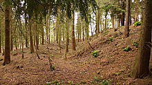 <b>Nesscliffe Hill Camp</b>Posted by thelonious