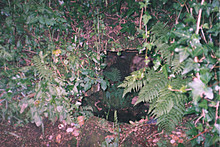 <b>Alsia Holy Well</b>Posted by hamish
