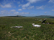 <b>Louden Stone Circle</b>Posted by thesweetcheat