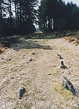 <b>Fernworthy stone row (North)</b>Posted by stewartb