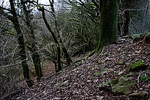 <b>Merlin's Hill</b>Posted by GLADMAN