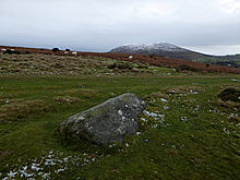 <b>The Cow Stone</b>Posted by thesweetcheat
