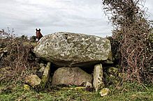 <b>Ballygraney Portal Tomb</b>Posted by muller