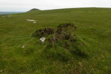 <b>Bearah Tramway cairn</b>Posted by thesweetcheat