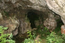 <b>Elderbush Cave</b>Posted by postman