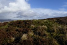 <b>Stanage</b>Posted by thesweetcheat