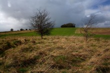 <b>Aldbourne (west of Giant's Grave)</b>Posted by GLADMAN
