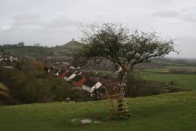 <b>Wearyall Hill</b>Posted by Ravenfeather