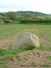 <b>Radnorshire</b>Posted by Kammer