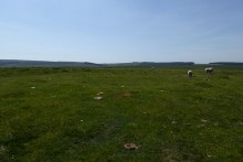 <b>East Moor Ring Cairn</b>Posted by thesweetcheat