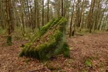 <b>Doll Tor Standing Stone</b>Posted by thesweetcheat