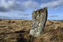 <b>Doddington Stone Circle</b>Posted by thesweetcheat
