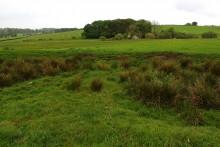 <b>Pict's Knowe henge</b>Posted by GLADMAN