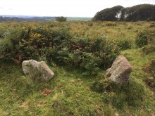 <b>Burford Down cairn and cist</b>Posted by markj99