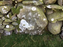 <b>Bagbie Wall Stone</b>Posted by markj99