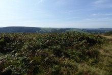 <b>Beeley Moor</b>Posted by thesweetcheat
