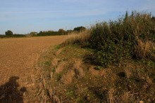 <b>Mill Mound, Tolleshunt Major</b>Posted by GLADMAN