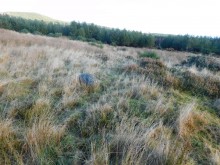 <b>Cnoc A Moine (nr Beauly)</b>Posted by drewbhoy