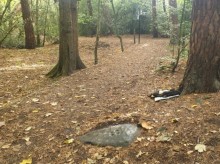 <b>Ecclesall Woods 3</b>Posted by harestonesdown