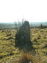 <b>Porlock Stone Circle</b>Posted by David Milner