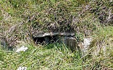 <b>Loch of Skaill Niche</b>Posted by wideford