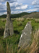 <b>Salachary Stones</b>Posted by greywether