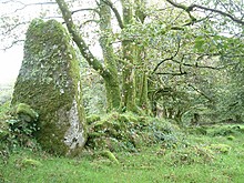 <b>Mutton Down Menhir</b>Posted by Mr Hamhead